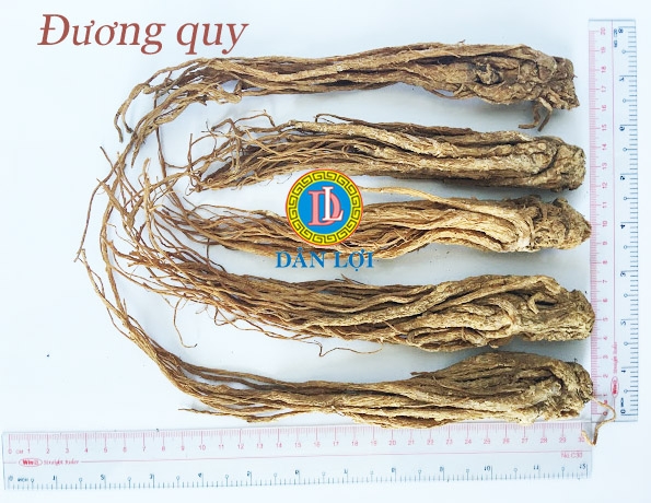 ĐƯƠNG QUY